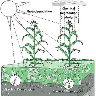 thumbnail for publication: Pesticide Characteristics